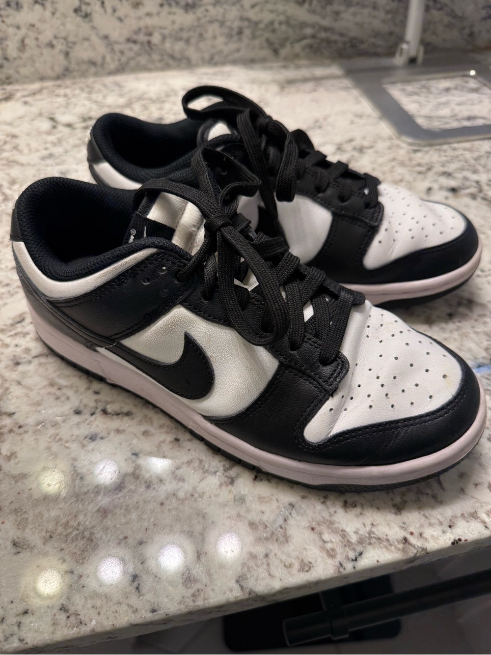 Nike Black and White Low-Cut Skate Shoes